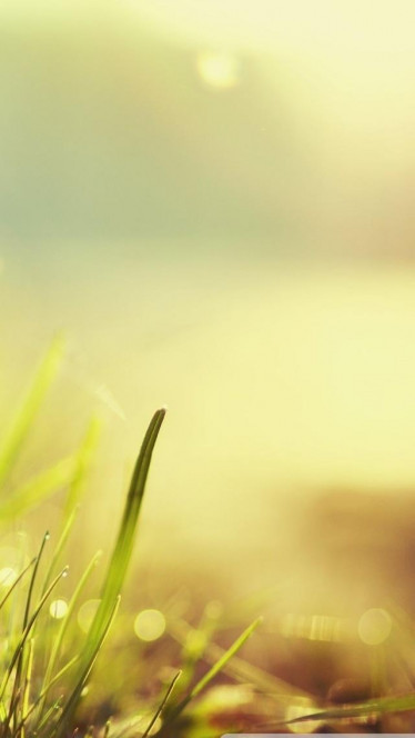 一张美味的图片 &middot; #128