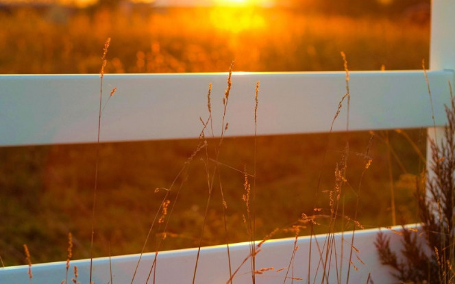 一张美味的图片 &middot; #2583