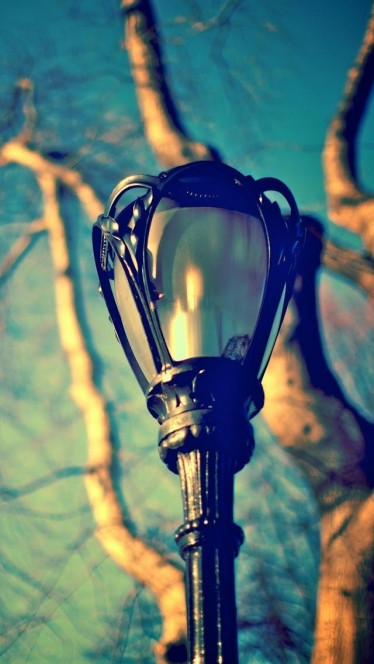 一张美味的图片 · #144