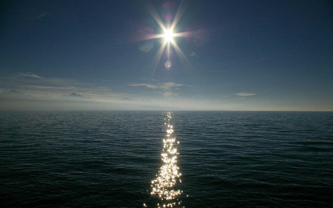 一张美味的图片 &middot; #74