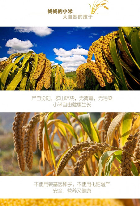 一张美味的图片 &middot; #5503