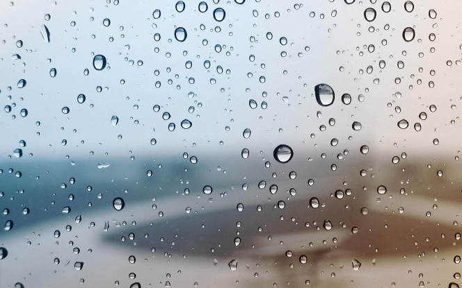 一张美味的图片 &middot; #50