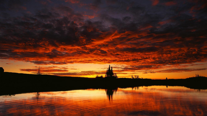 一张美味的图片 &middot; #3633