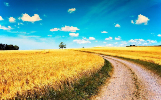 一张美味的图片 &middot; #4298