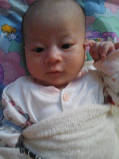 一张美味的图片 &middot; #5177