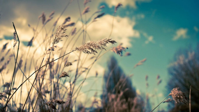 一张美味的图片 &middot; #5094