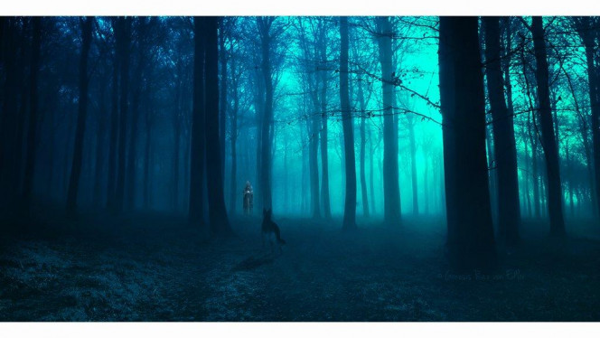 一张美味的图片 &middot; #5227