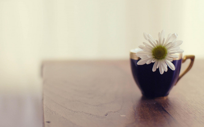 一张美味的图片 &middot; #89