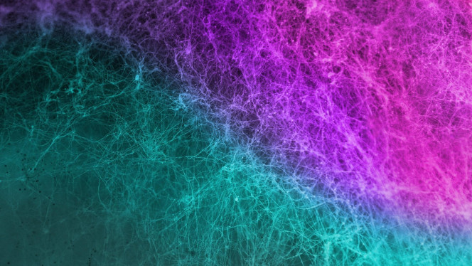 一张美味的图片 &middot; #371