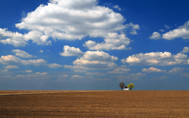 一张美味的图片 &middot; #3901