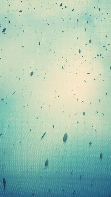 一张美味的图片 · #120