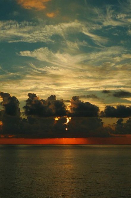 一张美味的图片 · #234