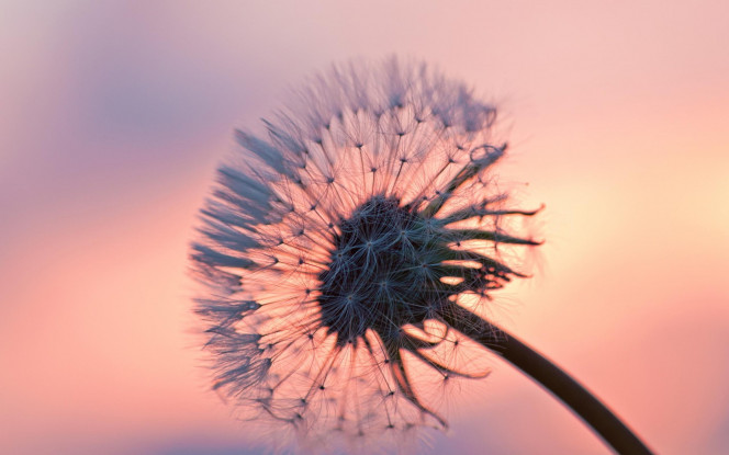 一张美味的图片 &middot; #37