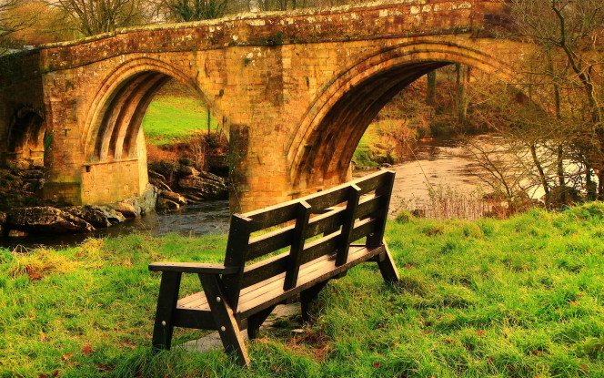 一张美味的图片 &middot; #20