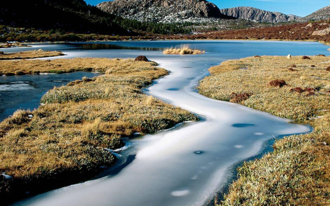 一张美味的图片 · #3584