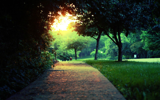 一张美味的图片 &middot; #71