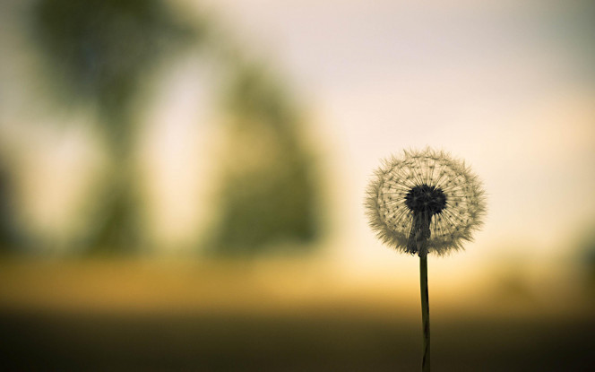 一张美味的图片 · #85