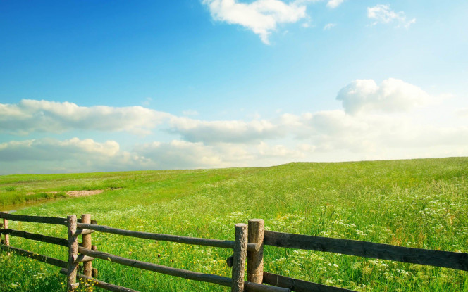 一张美味的图片 · #15