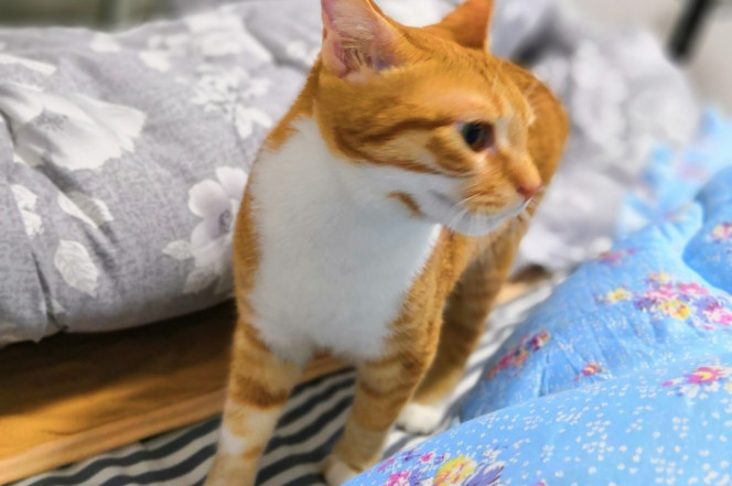 一张美味的图片 &middot; #5534