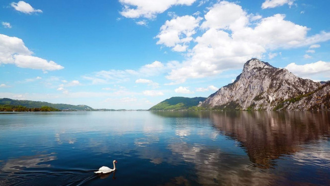 一张美味的图片 &middot; #3783