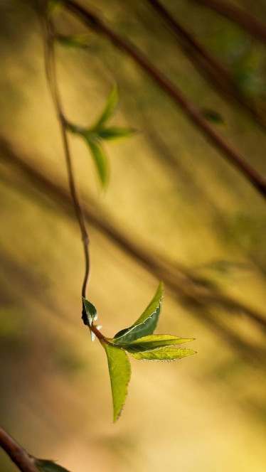 一张美味的图片 &middot; #176