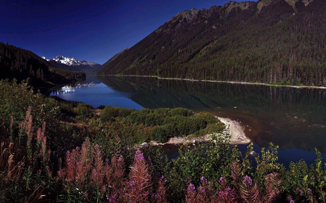 一张美味的图片 &middot; #3767