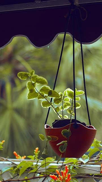 一张美味的图片 &middot; #312