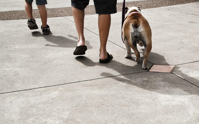 一张美味的图片 &middot; #329