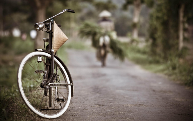 一张美味的图片 &middot; #99