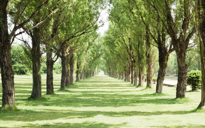 一张美味的图片 &middot; #45