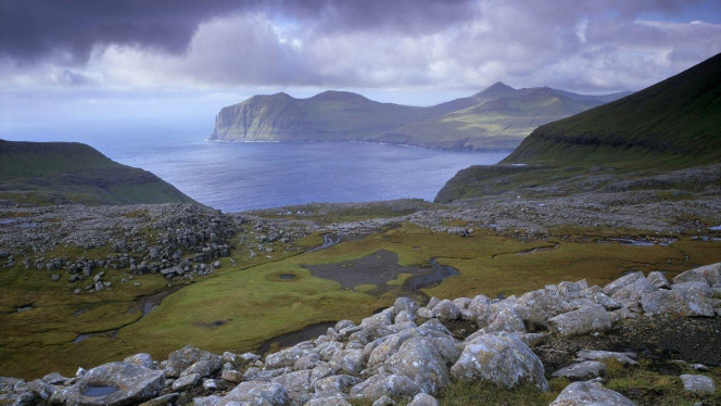 一张美味的图片 &middot; #4445