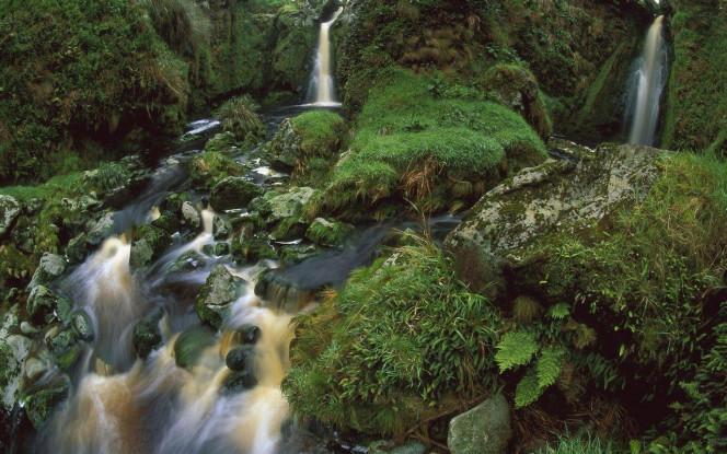 一张美味的图片 &middot; #3797