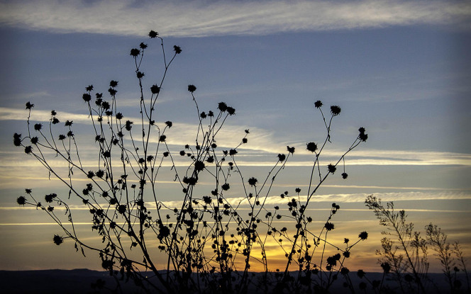 一张美味的图片 &middot; #98