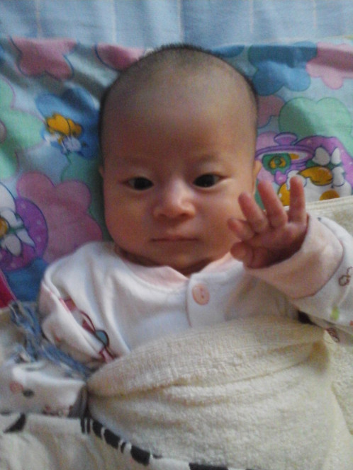 一张美味的图片 &middot; #5176