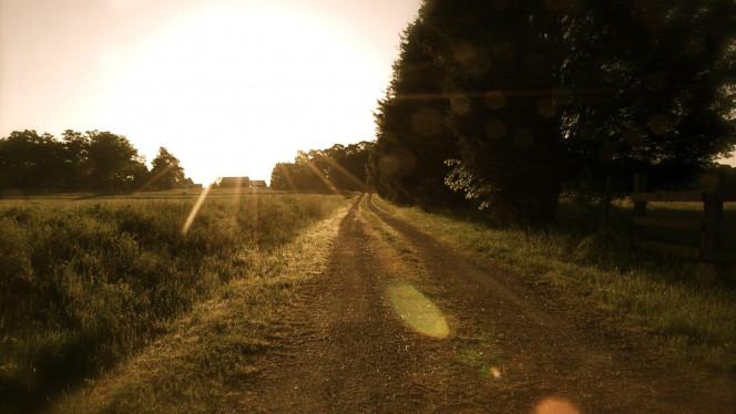 一张美味的图片 · #2791