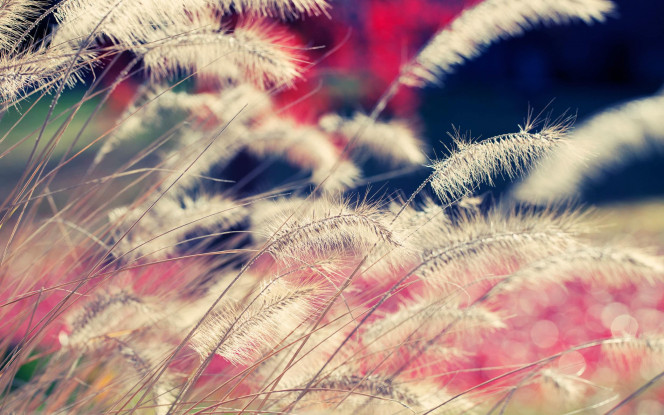 一张美味的图片 &middot; #18