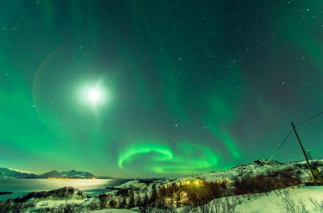 一张美味的图片 &middot; #3568