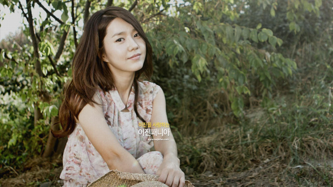 一张美味的图片 &middot; #5431