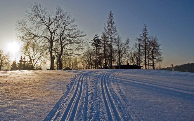 一张美味的图片 &middot; #5103