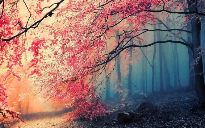 A Delicious image · #1825