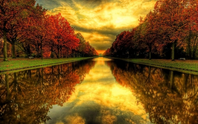 A Delicious image · #42