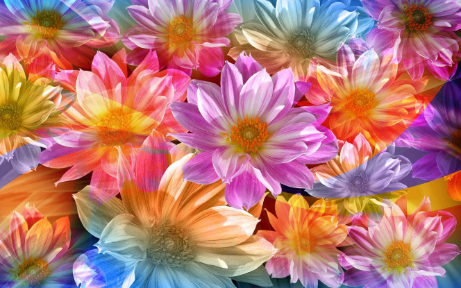 A Delicious image · #5429