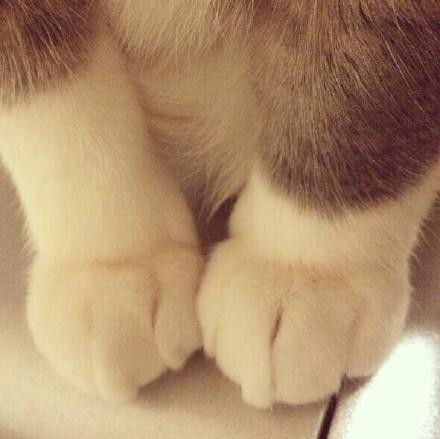A Delicious image · #5430