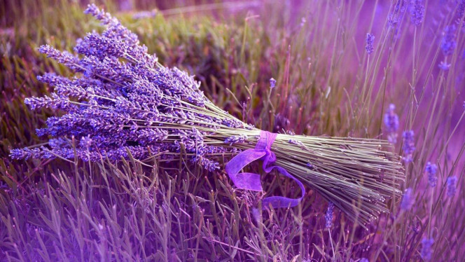 A Delicious image · #3430