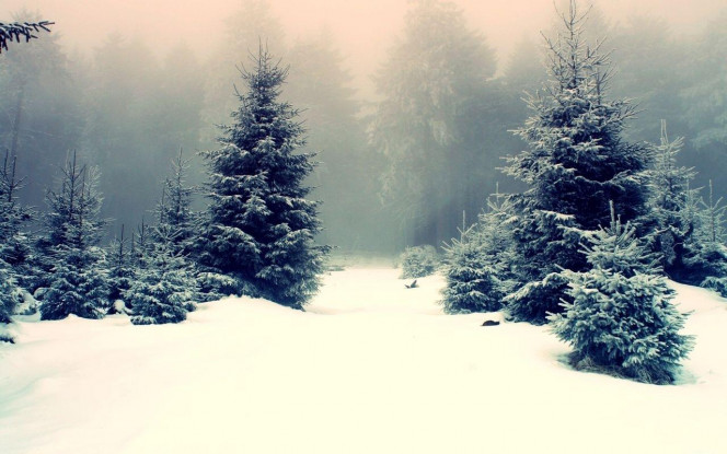 A Delicious image · #4389