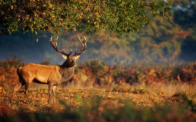 A Delicious image · #4014