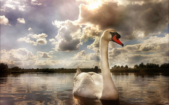 A Delicious image · #2824