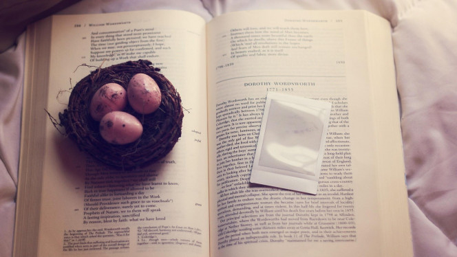 A Delicious image · #2139