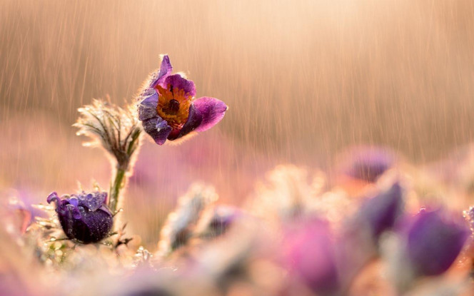 A Delicious image · #3970