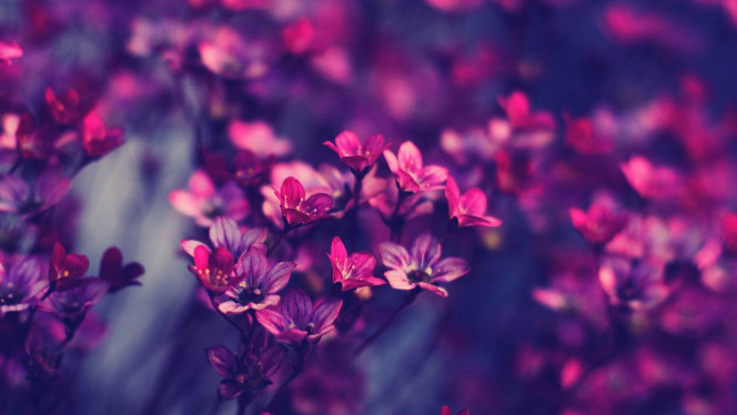 A Delicious image · #3615